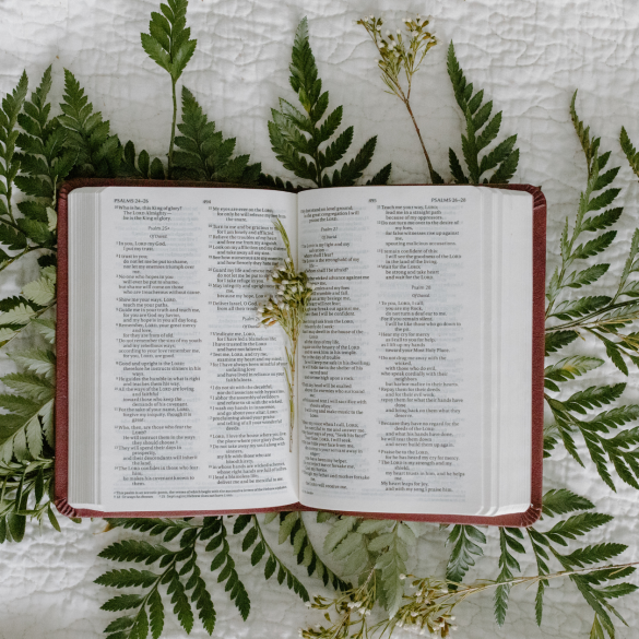 The Importance of Bible Study as a Christian